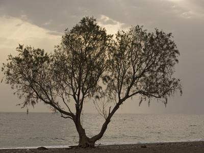 Photographic Print, , small