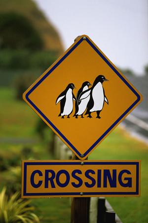 Photographic Print, , small