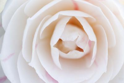 Photographic Print, , small