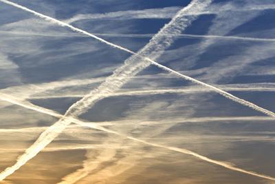 Photographic Print, , small