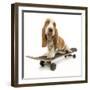 Basset Hound Puppy in Studio on Skateboard-null-Framed Photographic Print