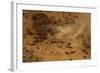 Aerial African Elephant in Plains-null-Framed Photographic Print