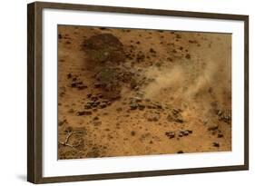 Aerial African Elephant in Plains-null-Framed Photographic Print