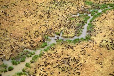 Photographic Print, , small