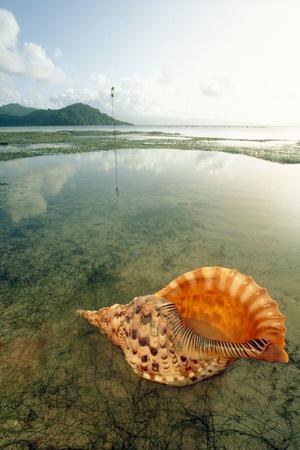 Photographic Print, , small