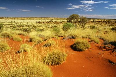 Photographic Print, , small