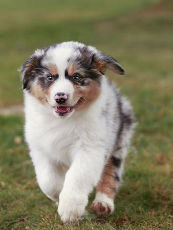 Photographic Print, , small