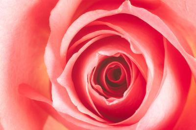 Photographic Print, , small