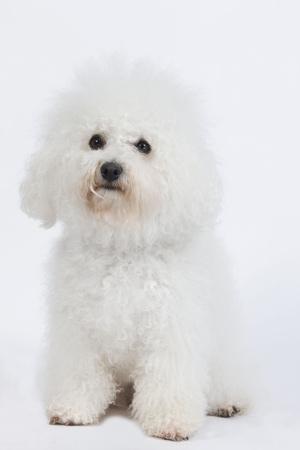 Photographic Print, , small