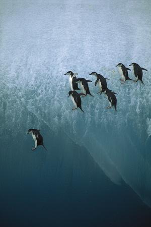 Photographic Print, , small