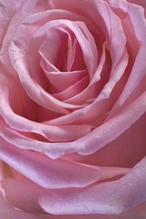Photographic Print, , small