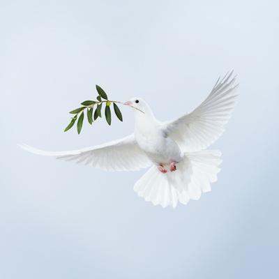 Photographic Print, , small