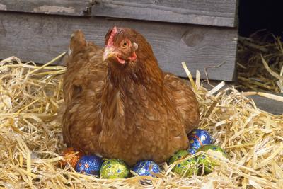 Photographic Print, , small