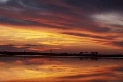 Photographic Print, , small