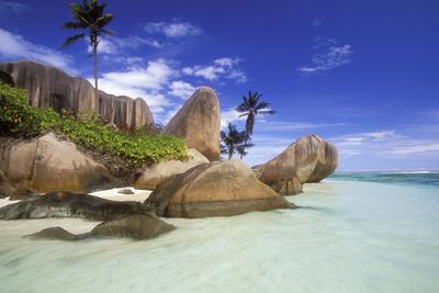 Photographic Print, , small