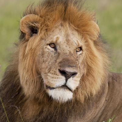 Photographic Print, , small