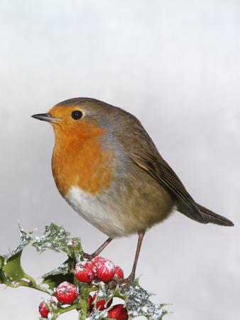 Photographic Print, , small