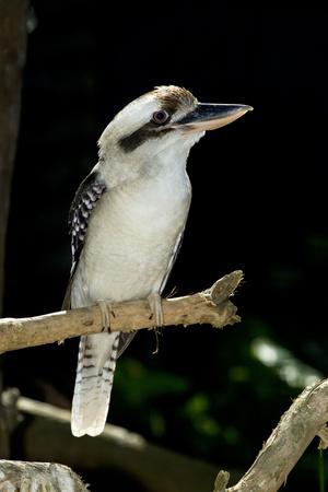 Photographic Print, , small