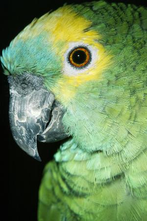 Photographic Print, , small