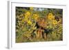 Timber Wolf Pups in Flowers-null-Framed Photographic Print