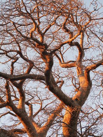 Photographic Print, , small
