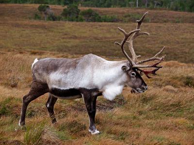 Photographic Print, , small