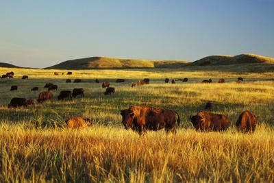 Photographic Print, , small