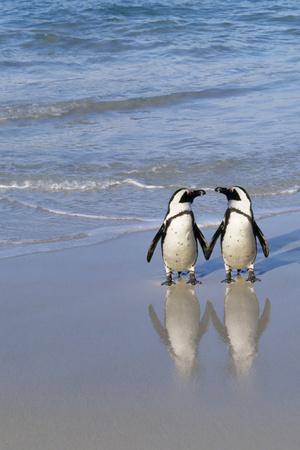 Photographic Print, , small