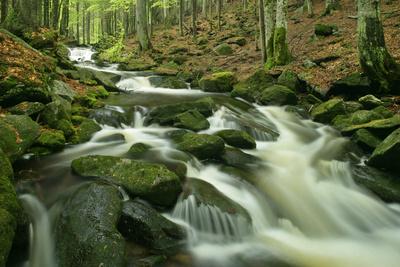 Photographic Print, , small