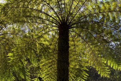 Photographic Print, , small