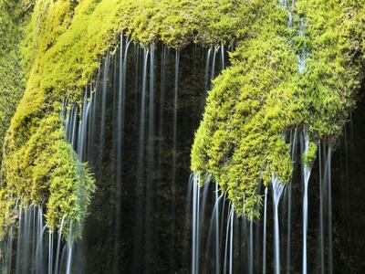 Photographic Print, , small