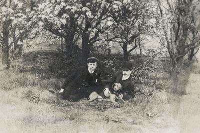 Photographic Print, , small
