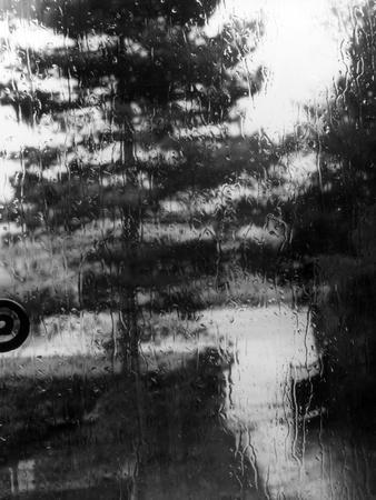 Photographic Print, , small