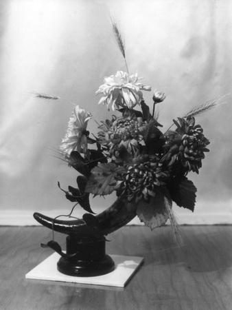 Photographic Print, , small