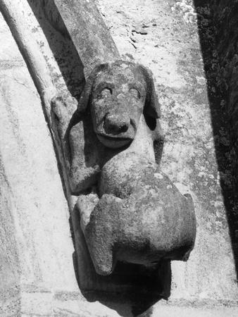 Photographic Print, , small