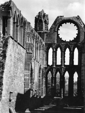 Photographic Print, , small