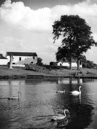 Photographic Print, , small