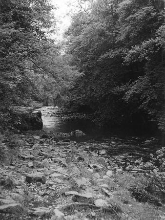 Photographic Print, , small