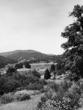 Photographic Print, , small