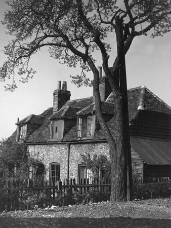 Photographic Print, , small