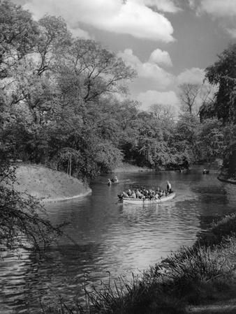 Photographic Print, , small