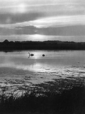 Photographic Print, , small