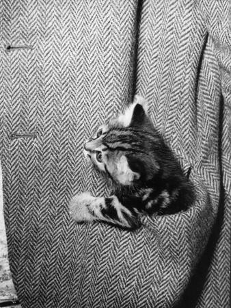 Photographic Print, , small