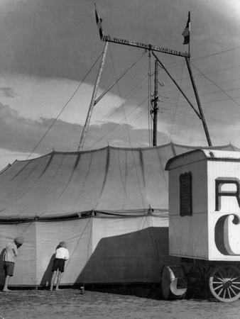 Photographic Print, , small