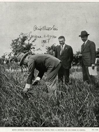 Photographic Print, , small