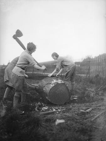 Photographic Print, , small