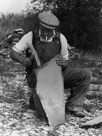 Photographic Print, , small