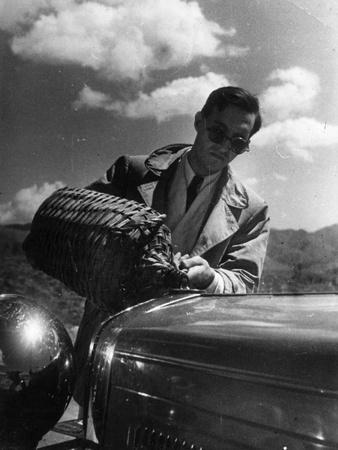 Photographic Print, , small