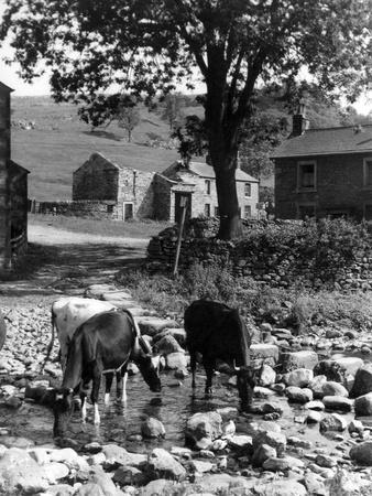 Photographic Print, , small