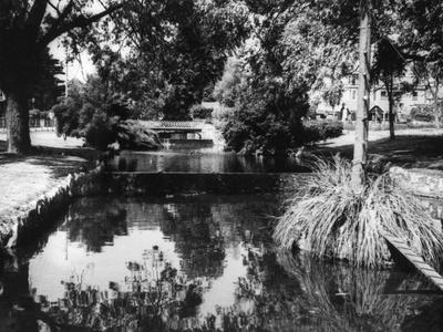 Photographic Print, , small